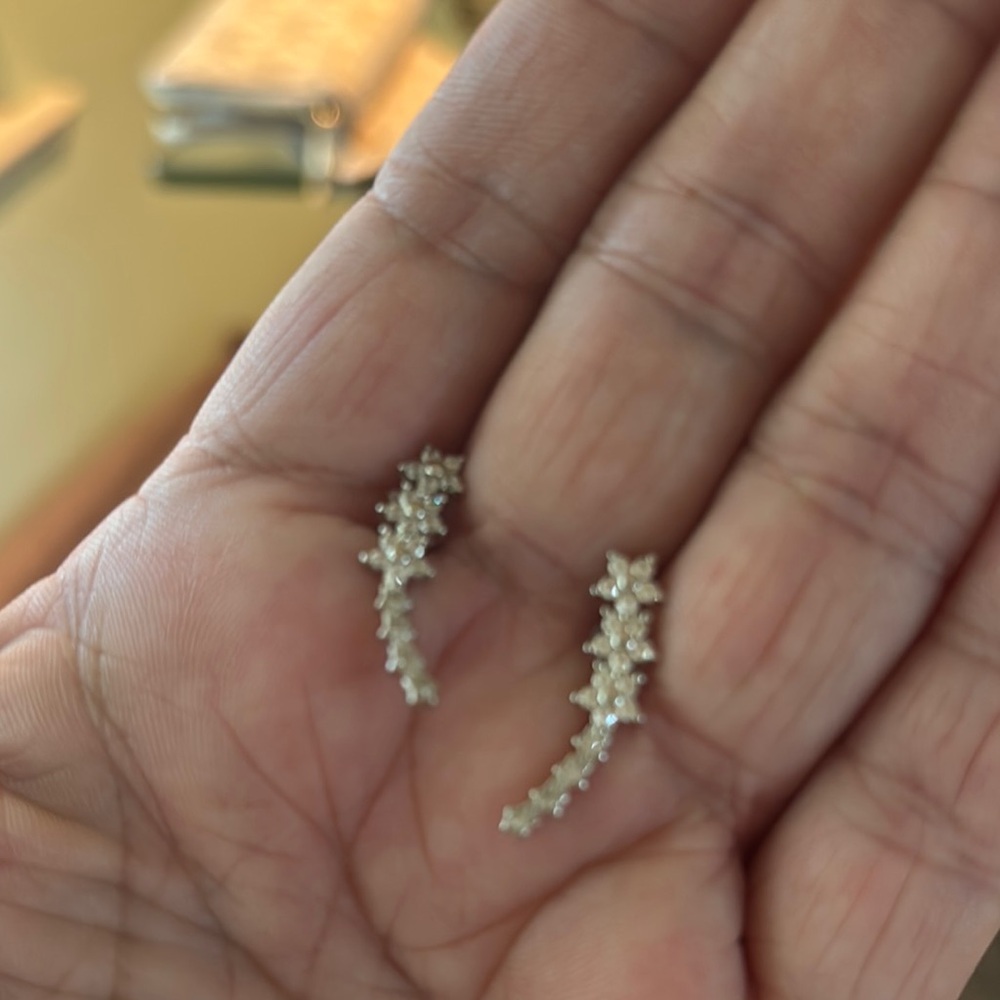 Elegant Silver Crystal Earrings